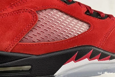 Jordan Reliable “Raging Air 5 Bull” 595 DD0587-600 0922